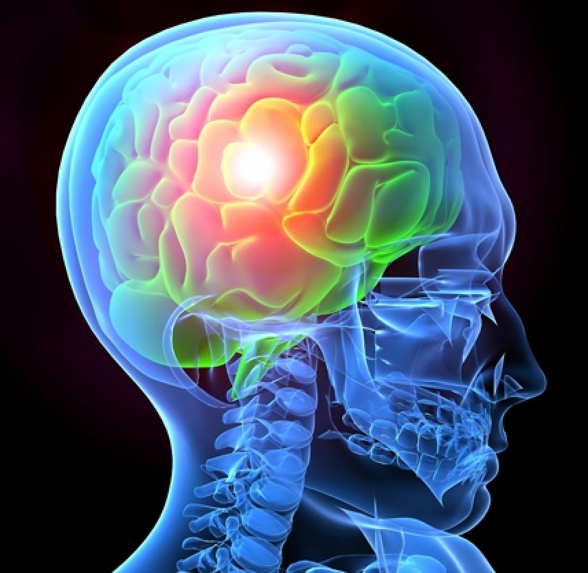 TBI Cover